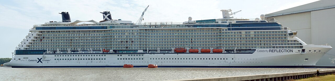Celebrity Reflection