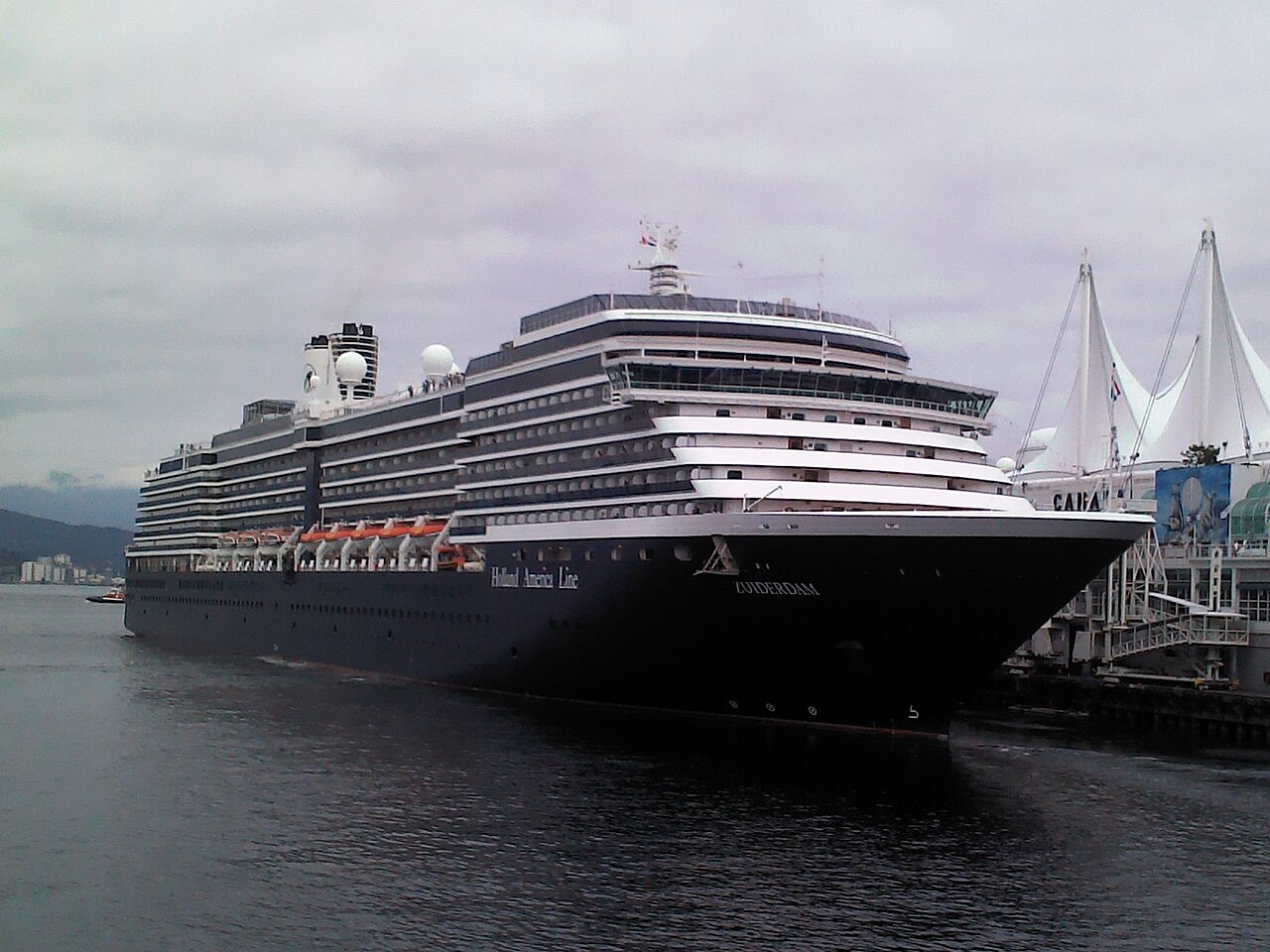 MS Zuiderdam