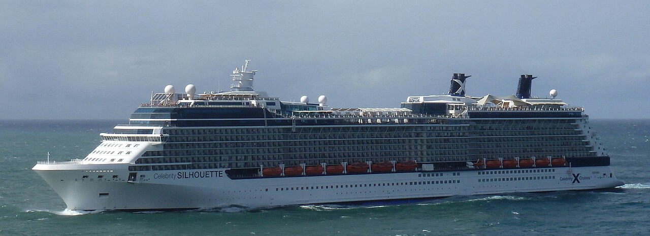 Celebrity Silhouette